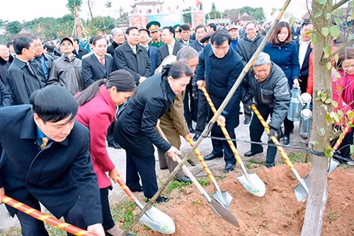 越南国会主席阮氏金银出席海阳省植树节启动仪式 ảnh 1
