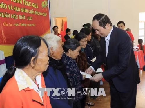 越南国家主席陈大光走访嘉莱省 ảnh 1