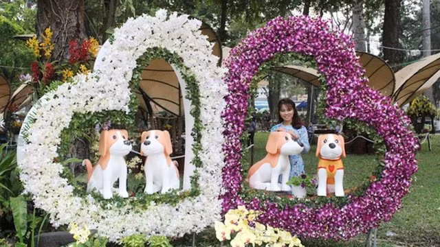 胡志明市2018戊戌年迎春花卉节开幕 ảnh 1 胡志明市2018戊戌年迎春花卉节开幕 ảnh 1