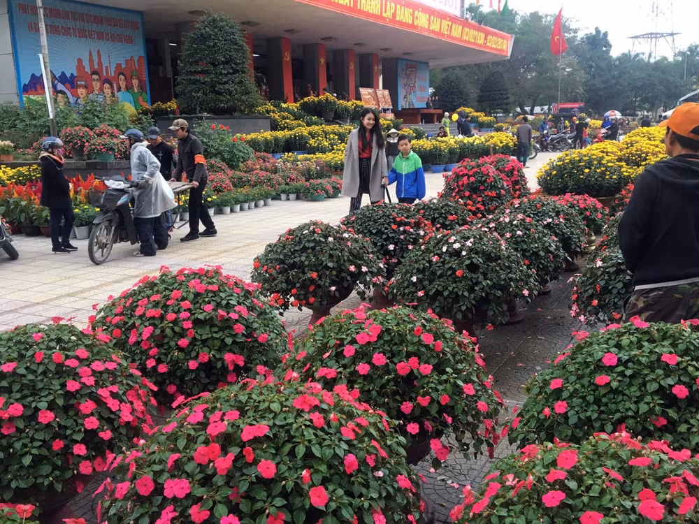 2018戊戌年春节期间得乐省接待游客量增长20% ảnh 2 2018戊戌年春节期间得乐省接待游客量增长20% ảnh 2