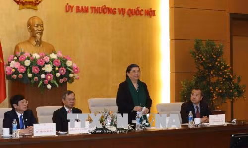 国会副主席丛氏放会见返乡过年的旅泰越南老教师代表团 ảnh 1