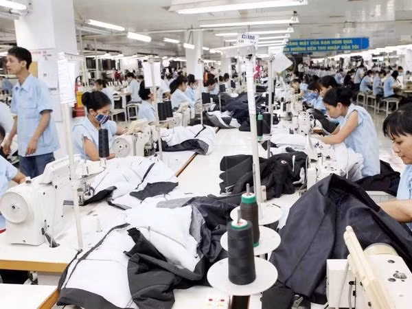 茶荣省拔出2.66万亿越盾协助中小型企业发展 ảnh 1 茶荣省拔出2.66万亿越盾协助中小型企业发展 ảnh 1