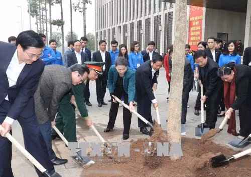 阮氏金银参加在国会大厦周围进行的羊蹄甲树植树活动 ảnh 1 阮氏金银参加在国会大厦周围进行的羊蹄甲树植树活动 ảnh 1