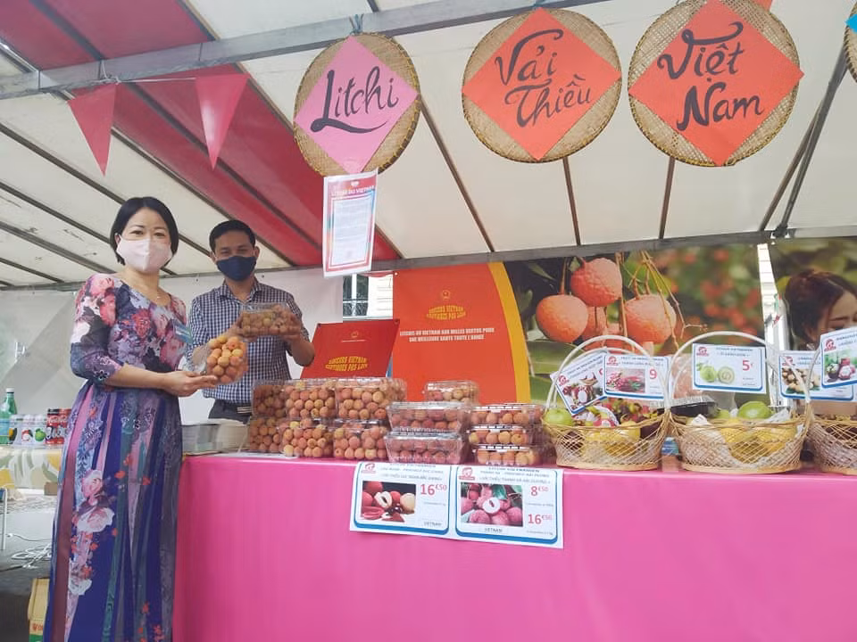 越南美食节在法国巴黎举行 ảnh 1 越南美食节在法国巴黎举行 ảnh 1