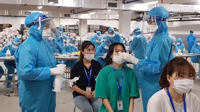 6月10日早上越南新增66例本土确诊病例 累计检测样本183万个 ảnh 1