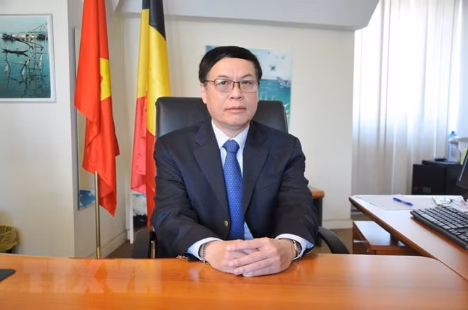 着力促进越南与欧洲全面合作关系 ảnh 1 着力促进越南与欧洲全面合作关系 ảnh 1