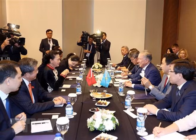 越南国会主席阮氏金银会见哈萨克斯坦马日利斯议长 ảnh 2