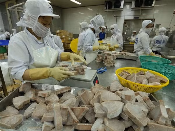 2018年越南水产品出口额有望达到90亿美元 ảnh 1 2018年越南水产品出口额有望达到90亿美元 ảnh 1
