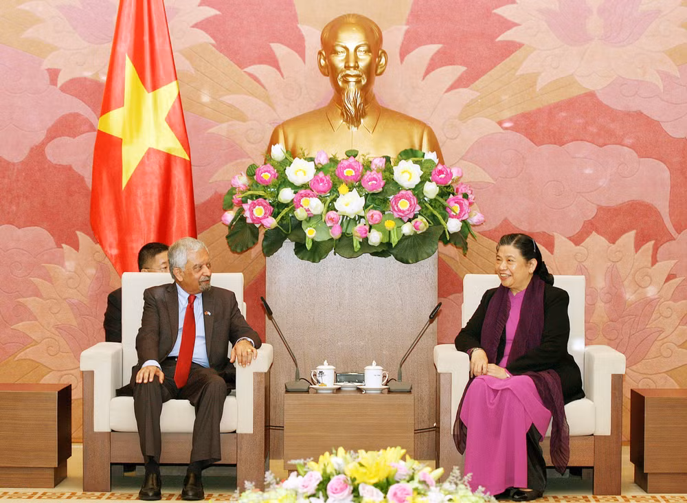 越南将继续积极参与联合国各项活动 ảnh 1