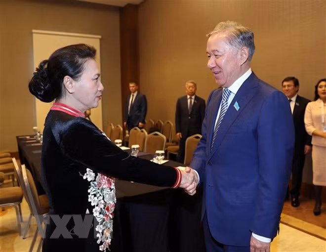 越南国会主席阮氏金银会见哈萨克斯坦马日利斯议长 ảnh 1