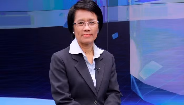 泰国接任2019年东盟公共事务会议主席一职 ảnh 1