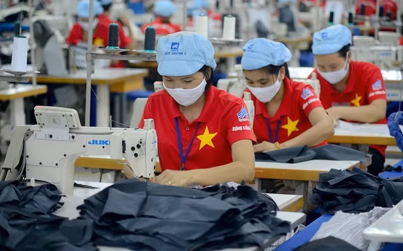 越南出口企业努力适应欧洲绿色协议 ảnh 1 越南出口企业努力适应欧洲绿色协议 ảnh 1