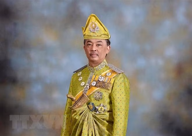 马来西亚国王宣誓就职 ảnh 1