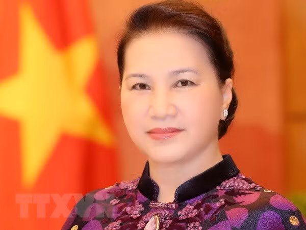 国会主席阮氏金银启程前往柬埔寨出席APPF-27 ảnh 1
