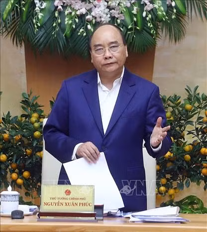 越南政府总理阮春福：2019年1月越南经济社会发展情况继续保持上年良好态势 ảnh 2