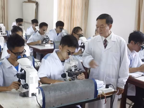 越南多措并举提高大学教育培训质量 ảnh 1