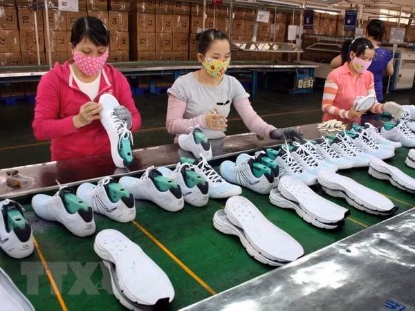 南非是越南在非洲地区的最大贸易伙伴 ảnh 1 南非是越南在非洲地区的最大贸易伙伴 ảnh 1