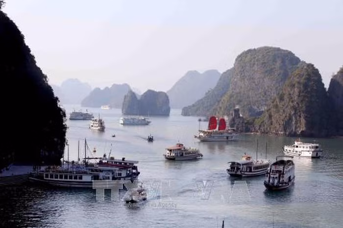 世界自然遗产下龙湾着力加大对旅游和垃圾管理力度 ảnh 1