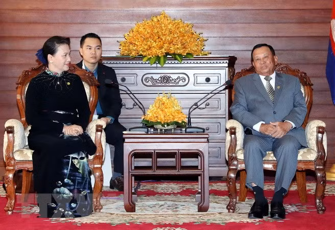 越南国会主席阮氏金银会见柬埔寨参议院主席赛宗 ảnh 1