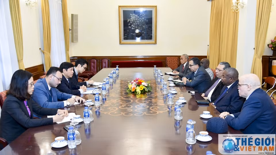 越南外交部副部长阮国强会见非洲各国驻越大使 ảnh 1 越南外交部副部长阮国强会见非洲各国驻越大使 ảnh 1