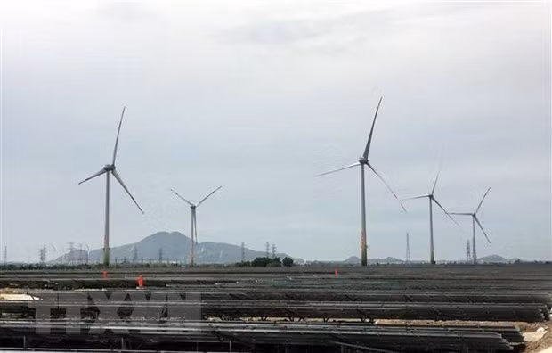 爱尔兰能源公司执行总裁:强化与越南企业的合作 ảnh 1 爱尔兰能源公司执行总裁:强化与越南企业的合作 ảnh 1