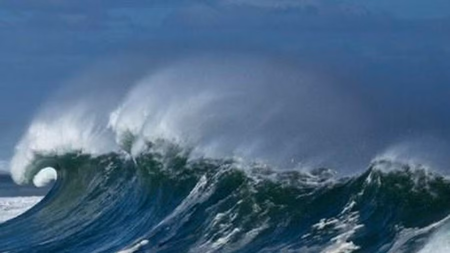 东海海啸预警中心投入运行 ảnh 1
