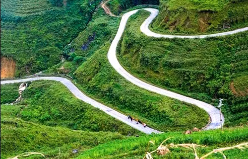 幸福路——通往河江省马皮凉遗产的道路 ảnh 1