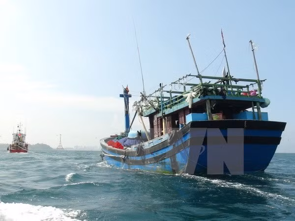 平定省在海上被撞沉的渔船上全部8名渔民安全获救 ảnh 1