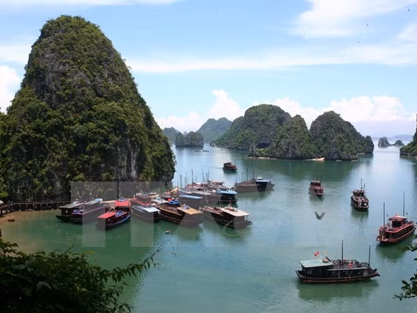 越南努力打造健康旅游环境 ảnh 1 越南努力打造健康旅游环境 ảnh 1
