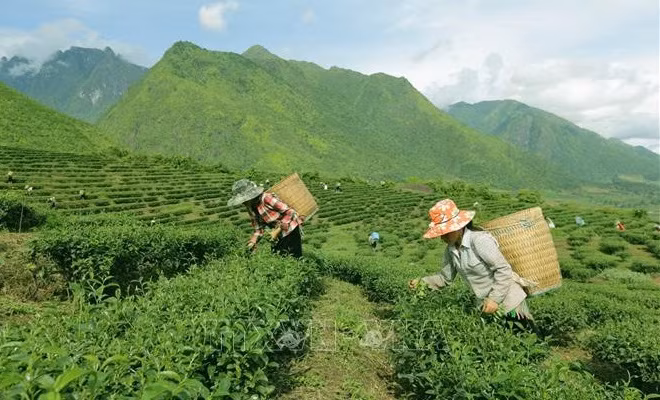 越南努力降低山区和边境地区少数民族贫困率 ảnh 1 越南努力降低山区和边境地区少数民族贫困率 ảnh 1