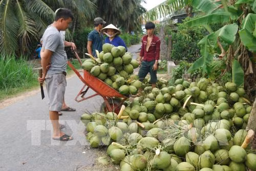 越南槟椥省的主要商品出口额保持良好增长势头 ảnh 3 越南槟椥省的主要商品出口额保持良好增长势头 ảnh 3