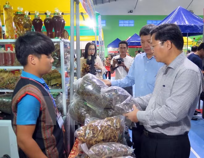 玉玲人参集市首次在越南广南省举行 ảnh 1