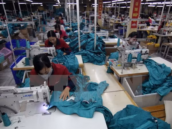 越南槟椥省的主要商品出口额保持良好增长势头 ảnh 1 越南槟椥省的主要商品出口额保持良好增长势头 ảnh 1