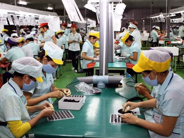 越南槟椥省的主要商品出口额保持良好增长势头 ảnh 2 越南槟椥省的主要商品出口额保持良好增长势头 ảnh 2