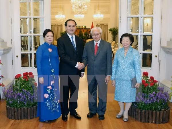 越南国家主席陈大光与新加坡总统陈庆炎举行会谈 ảnh 1