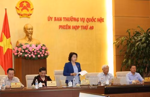 越南第十三届国会第49次会议发表公报 ảnh 1