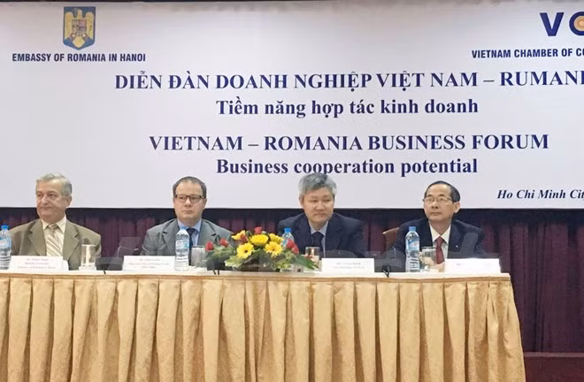 罗马尼亚鼓励越南企业加强对罗投资 ảnh 1 罗马尼亚鼓励越南企业加强对罗投资 ảnh 1