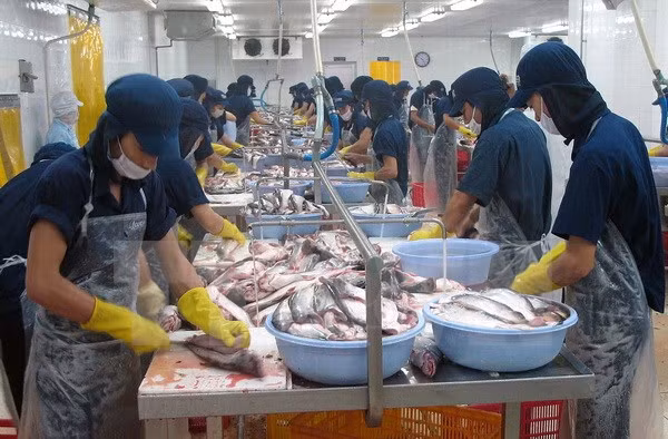 越南欢迎美国众议院通过取消对越南鲶鱼检验程序计划的决议 ảnh 1