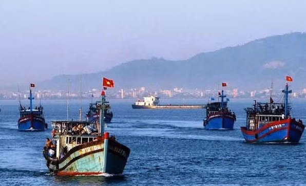 消除IUU黄牌警告：密切监控渔船出港航程 ảnh 1