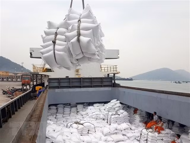 今年前11月越南大米出口有所增长 ảnh 1 今年前11月越南大米出口有所增长 ảnh 1