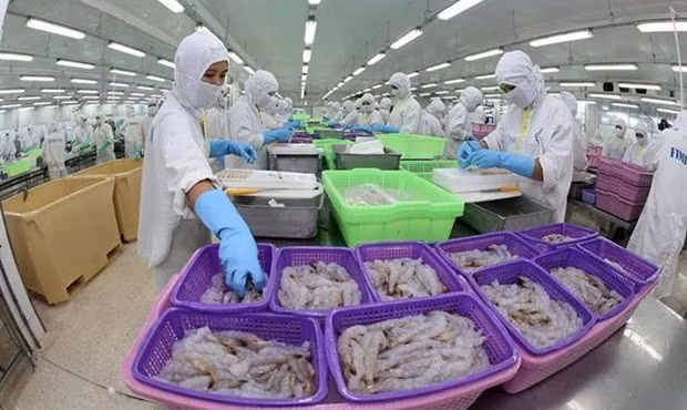 越南商品进军欧洲市场的余地巨大 ảnh 1