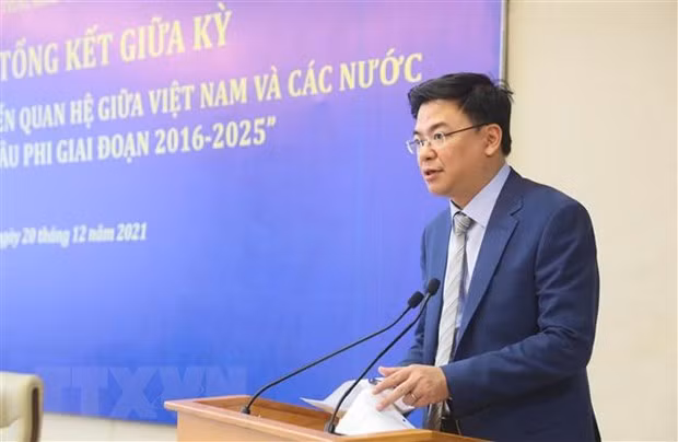 推动越南与中东-非洲地区各国关系发展 ảnh 1 推动越南与中东-非洲地区各国关系发展 ảnh 1