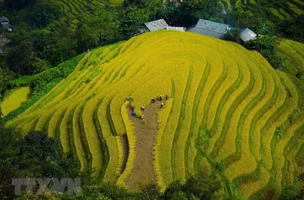 在线旅游体验——河江旅游的新方向 ảnh 2