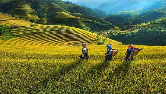 越南第十五届国会第二次会议:有针对性地选择少数民族地区和山区的重点投资项目 ảnh 3 越南第十五届国会第二次会议:有针对性地选择少数民族地区和山区的重点投资项目 ảnh 3