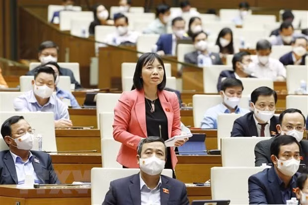 越南第十五届国会第二次会议新闻公报(第十六号) ảnh 3 越南第十五届国会第二次会议新闻公报(第十六号) ảnh 3