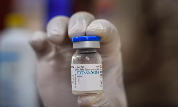 卫生部有条件批准新冠疫苗Covaxin ảnh 1