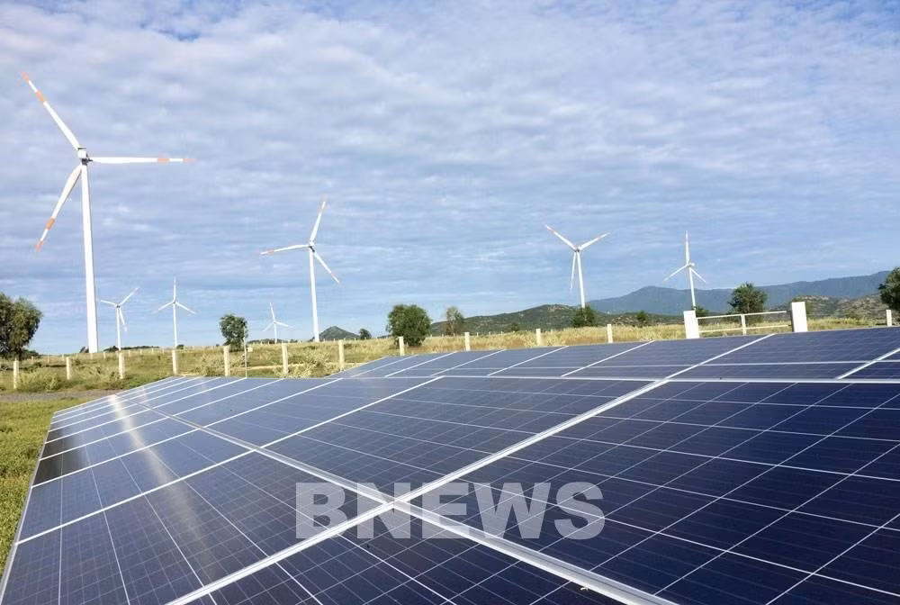 越南一家能源集团荣获2021年度太阳能行业奖 ảnh 1 越南一家能源集团荣获2021年度太阳能行业奖 ảnh 1