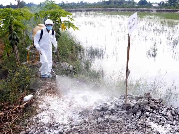 越南严防亚型H7N9禽流感疫情及各种人感染禽流感疫情传入越南 ảnh 1 越南严防亚型H7N9禽流感疫情及各种人感染禽流感疫情传入越南 ảnh 1