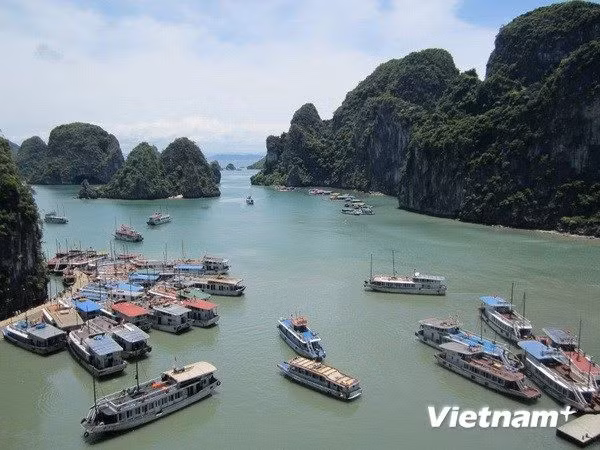 越南实现旅游产品多样化 使外地游客流连忘返 ảnh 1 越南实现旅游产品多样化 使外地游客流连忘返 ảnh 1