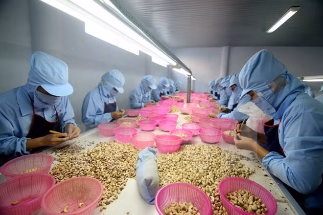 东盟经济部长希望RCEP成为亚洲经济增长的动力和引擎 ảnh 1